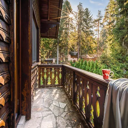 Mura With & Hot Swimming Pool Borovets