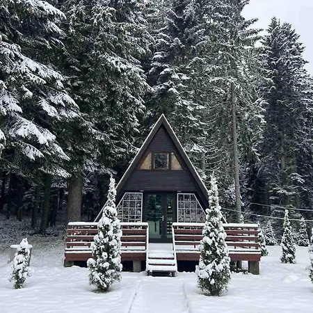 فندق Mura With & Hot Swimming Pool بوروفتس
