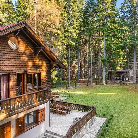 Mura With & Hot Swimming Pool * Borovets