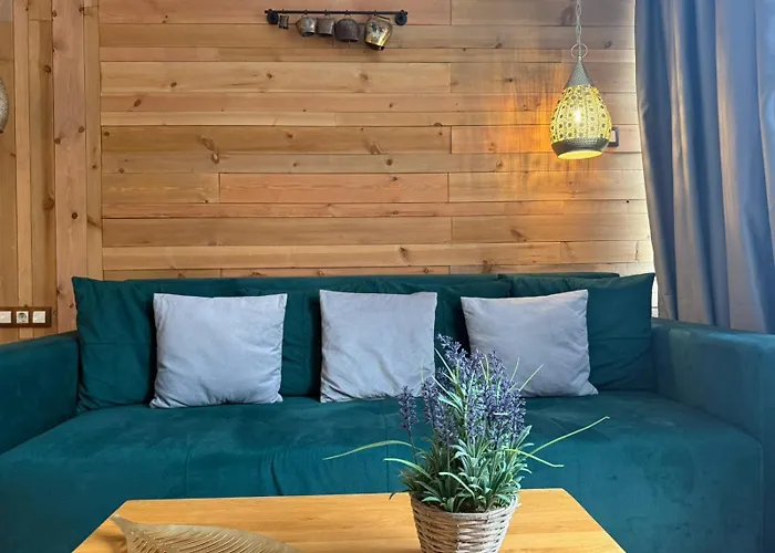 Mura With & Hot Swimming Pool Hotel Borowec