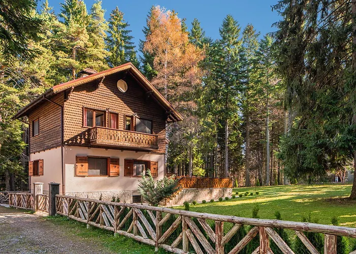 Hotel Mura With & Hot Swimming Pool Borowec