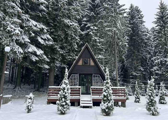 Hotel Mura With & Hot Swimming Pool Borowec