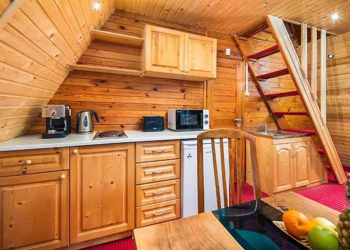 Mura With & Hot Swimming Pool Hotel Borowec