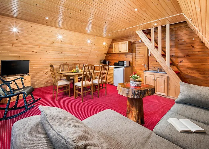 Mura With & Hot Swimming Pool Hotel Borowec